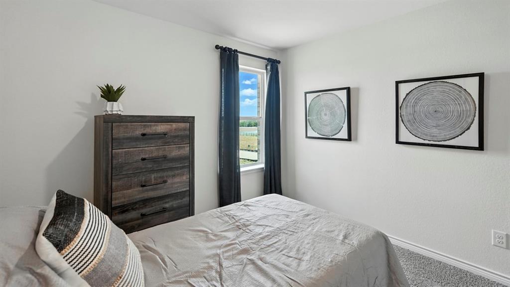 2613 Mexia Lane Pilot Point, TX 76258 - Photo 11 of 38