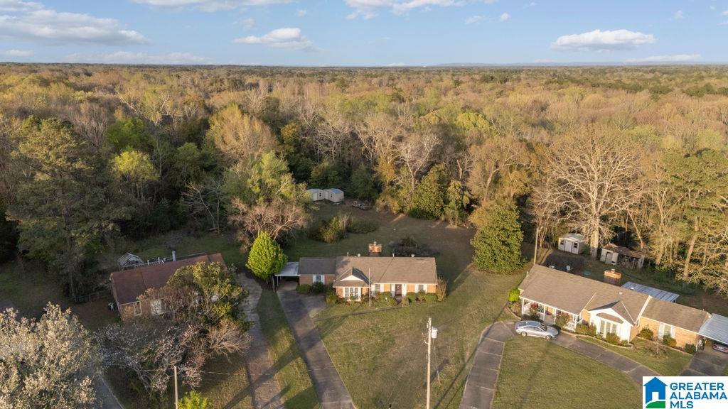 2646 South Cobb Loop Road Millbrook, AL 36054 - Photo 33 of 34 Gallery Image 33