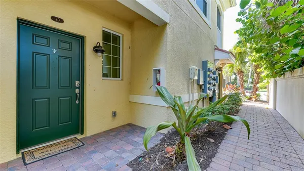 a potted plant in front of a door