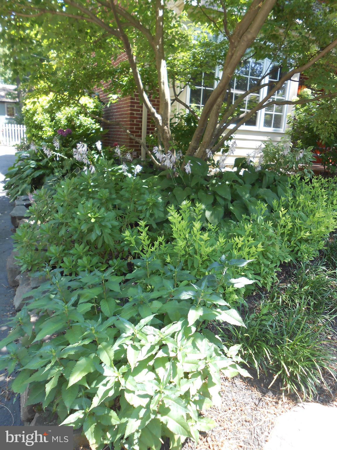 28 Hurst Road Wilmington, DE 19803 - Photo 3 of 35 a backyard of a house with lots of green space and a fountain