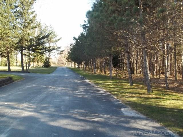 4288 Mortimer Line Road Croswell, MI 48422 - Photo 4 of 49