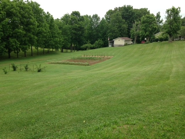4655 Louise Creek Road Cunningham, TN 37052 - Photo 54 of 70 Gallery Image 54