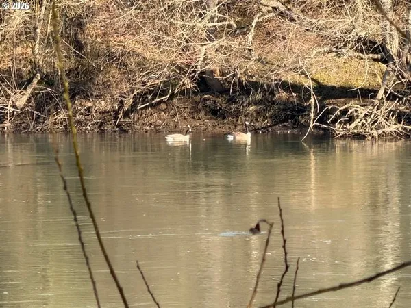 $39,900 | 4531 Franklin Boulevard, Unit 92, Eugene, OR 97403