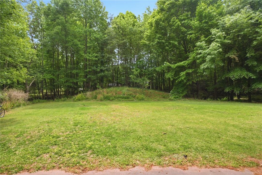 207 Devonhurst Drive Seneca, SC 29678 - Photo 44 of 50 A spacious grassy lot awaits your vision, surrounded by a serene treed landscape.