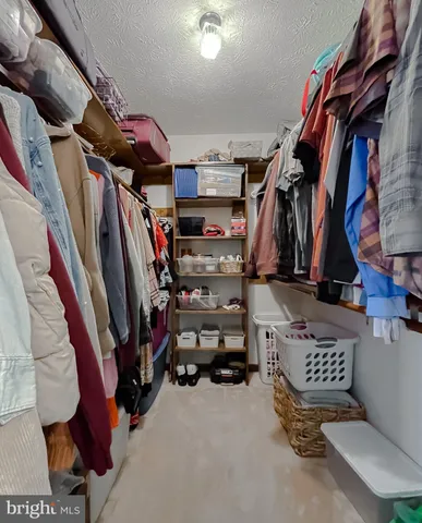 a view of a backyard with large trees