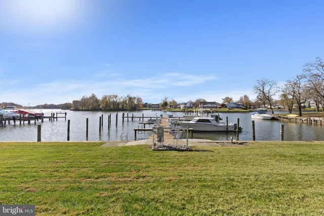 a swimming pool with lawn chairs and large trees