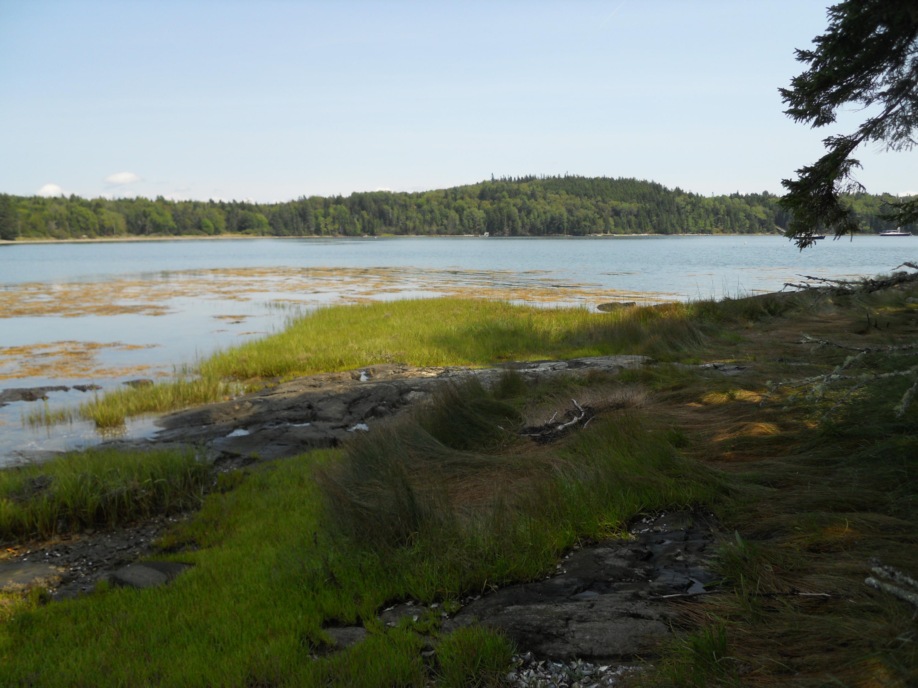 25-21 Ryder Road Islesboro, ME 04848 - Photo 23 of 27 Western access