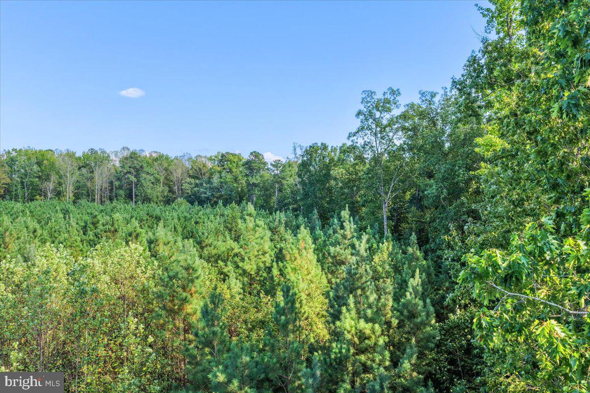 Lot 7-8 County Pond Road Freeman, VA 23856 - Photo 18 of 19 Gallery Image 18