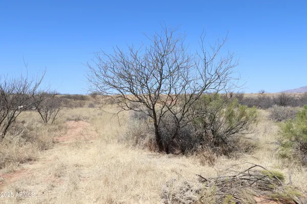 a view of snow covered with snow in front of house