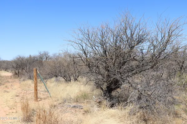 a view of a yard covered with snow in the background
