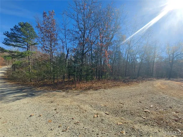 $6,000 | 0 Rue Chapelle, Bonne Terre, MO 63628