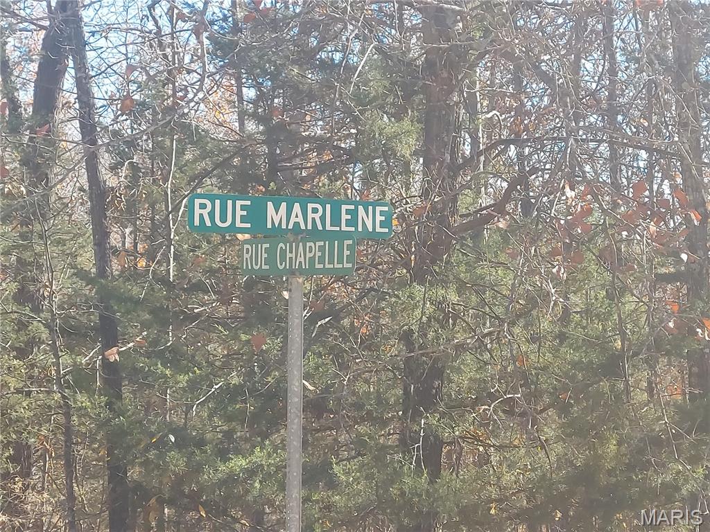 0 Rue Chapelle Bonne Terre, MO 63628 - Photo 2 of 4