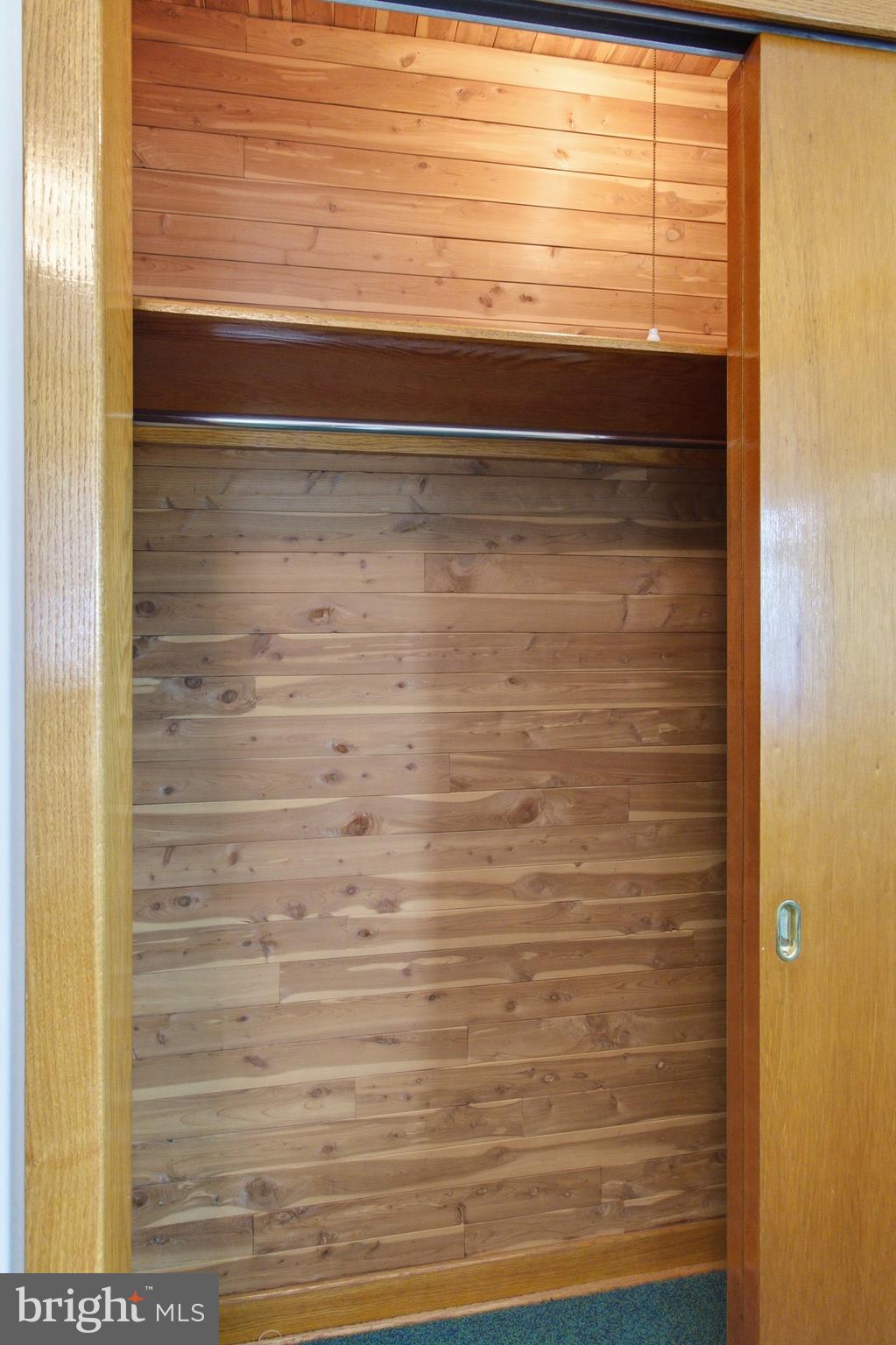 684 Powell Street Hawk Run, PA 16840 - Photo 27 of 35 Ceder lined closet