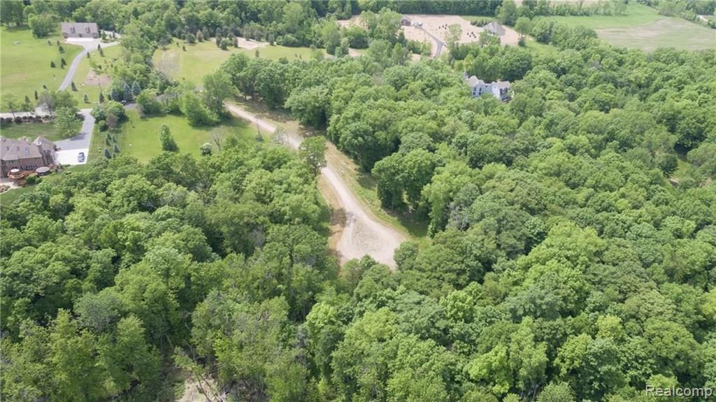 9308 Hickory Ridge Road Northville, MI 48167 - Photo 5 of 5