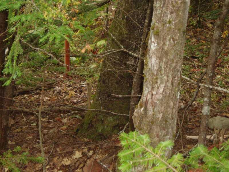 356 Ridge School Road Liberty, ME 04949 - Photo 12 of 12 Land.