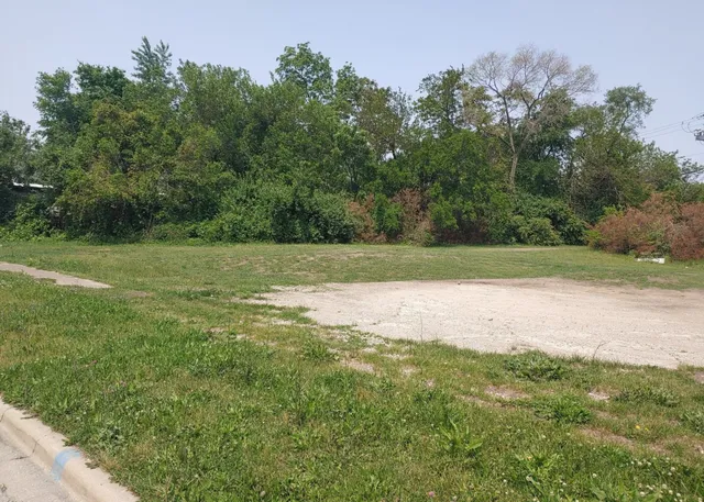 a view of a field with trees in the background