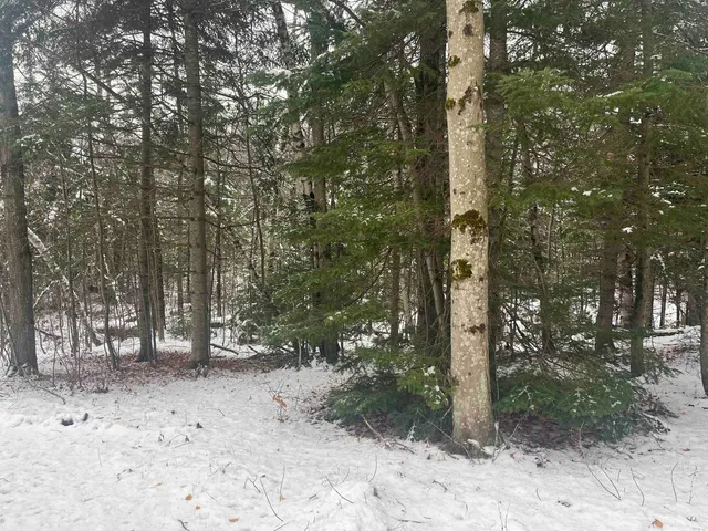 $125,999 | 2872 Balance Rock Road, Westfield, VT 05874