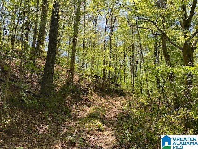 Mineral Springs Road, Unit 17 Pell City, AL 35125 - Photo 5 of 6
