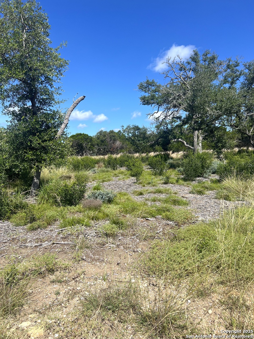 a view of a lush green outdoor space with a lake view