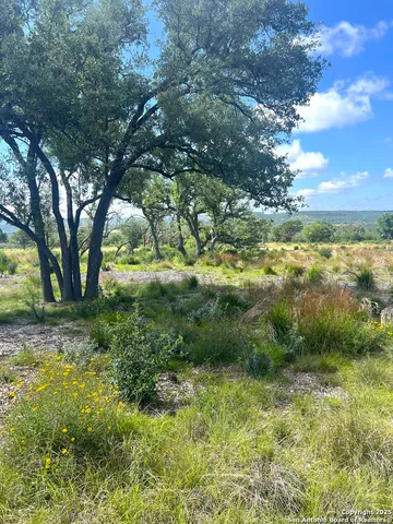 a view of a lake with lots of trees