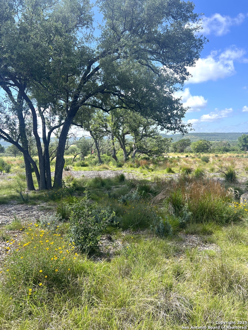 0 Citadel Center Point Kerrville, TX 78028 - Photo 11 of 33 a view of a garden with an trees