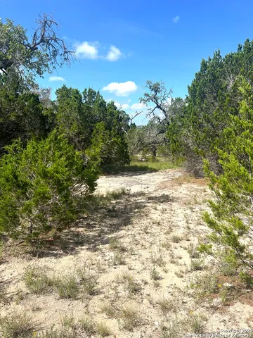 a view of a large yard with lots of green space