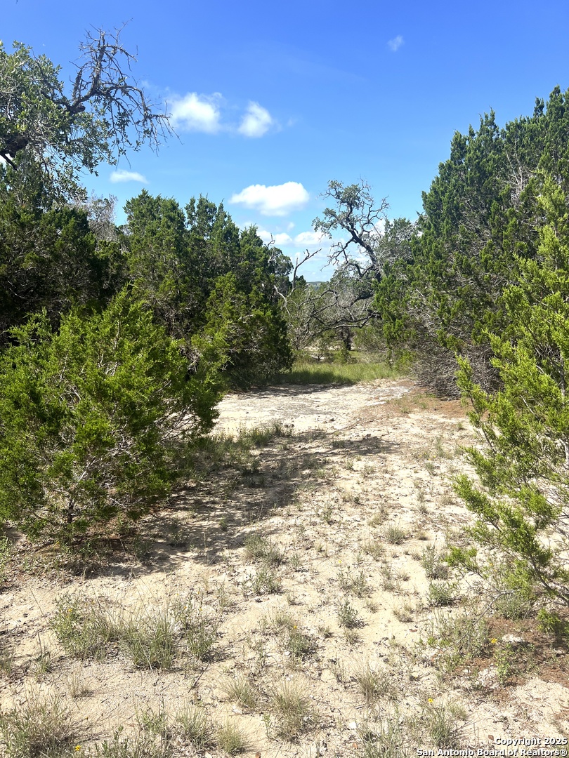 0 Citadel Center Point Kerrville, TX 78028 - Photo 13 of 33 a view of a yard with a tree