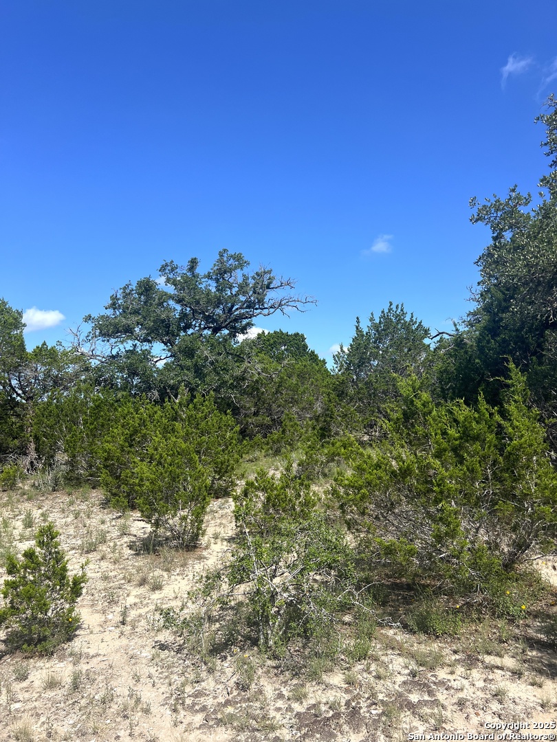 0 Citadel Center Point Kerrville, TX 78028 - Photo 14 of 33 a view of a large yard with lots of green space