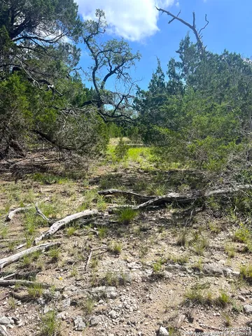 a view of an ocean from a yard