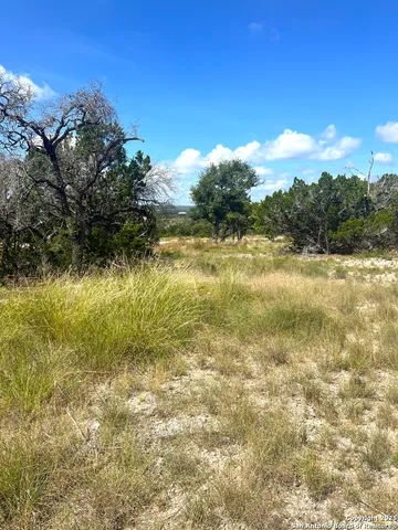 a view of an ocean beach