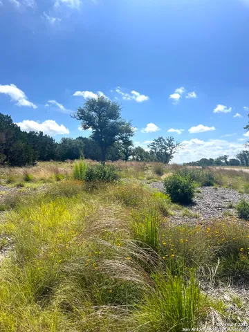 a view of a yard with a tree