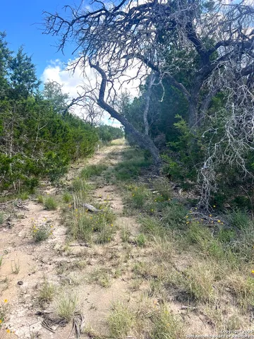 a view of a lake from a yard