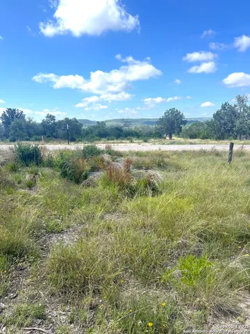 a view of a big yard with lots of bushes