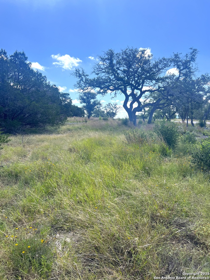 0 Citadel Center Point Kerrville, TX 78028 - Photo 21 of 33 a view of a big yard with lots of bushes