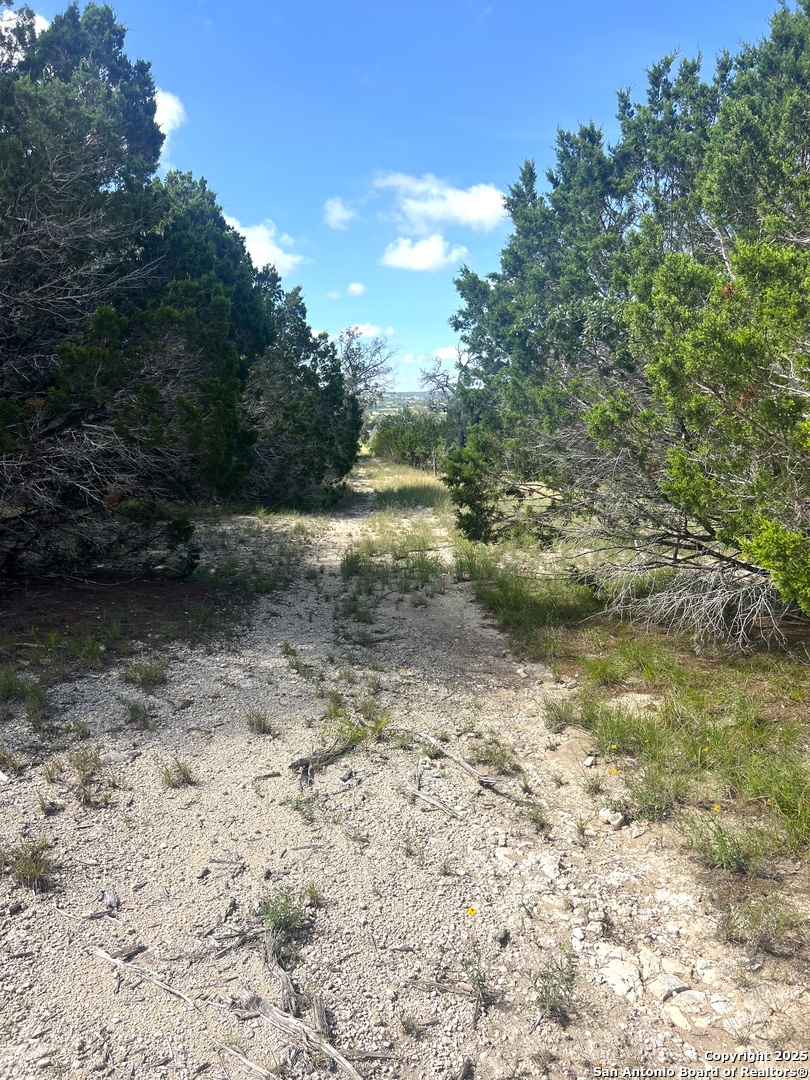 0 Citadel Center Point Kerrville, TX 78028 - Photo 22 of 33 a view of a yard with a tree