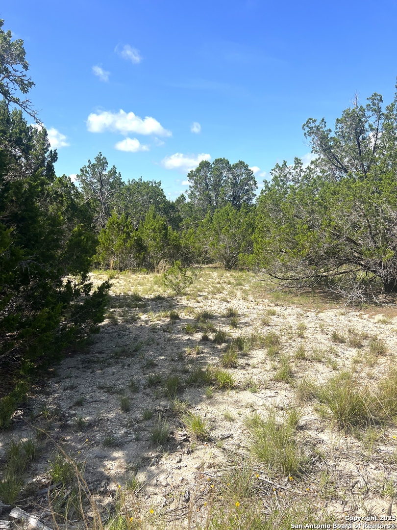 0 Citadel Center Point Kerrville, TX 78028 - Photo 23 of 33 a view of a yard with trees in the background