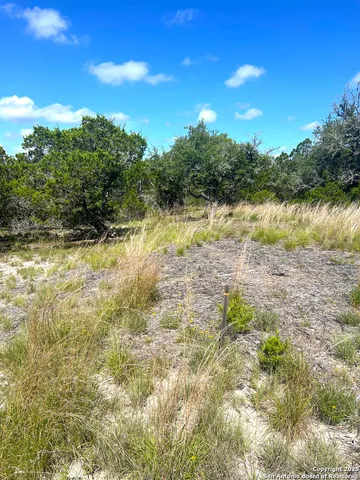a view of outdoor space and trees