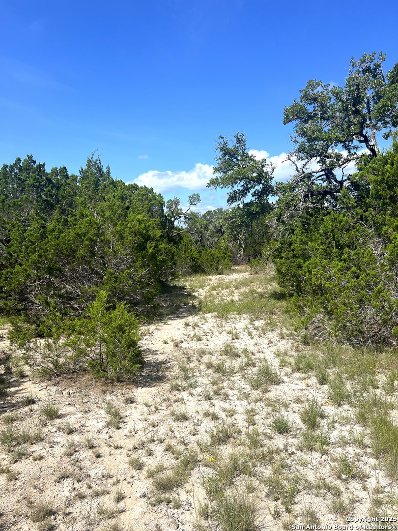 0 Citadel Center Point Kerrville, TX 78028 - Photo 26 of 33 a view of a yard with plants and a tree