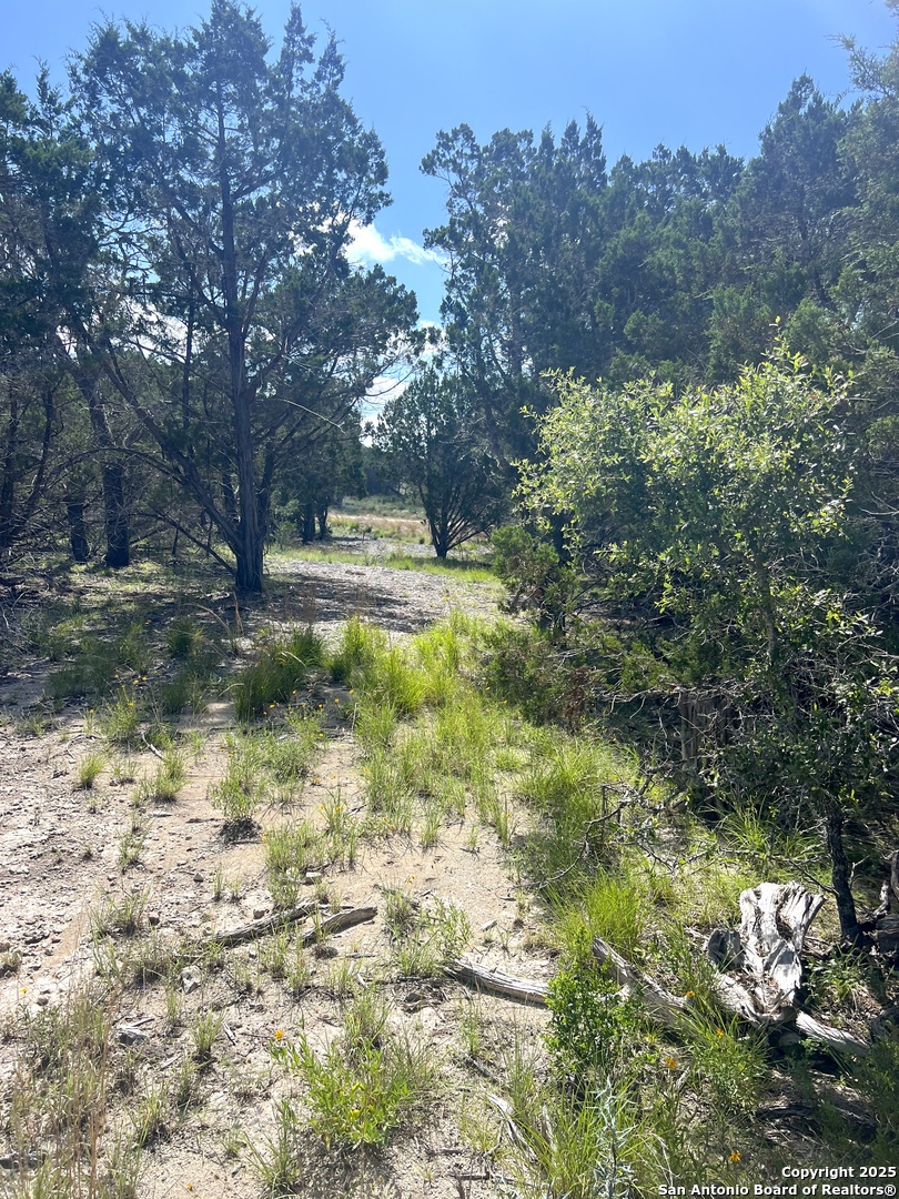 0 Citadel Center Point Kerrville, TX 78028 - Photo 27 of 33 a view of a yard with a tree