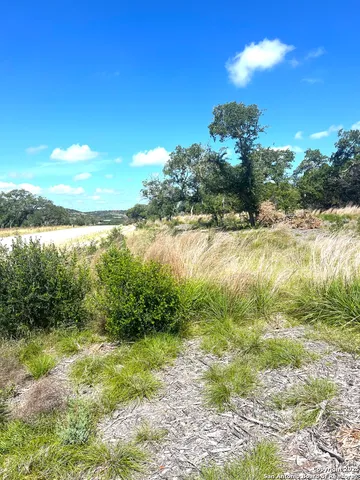 a view of a big yard with green space