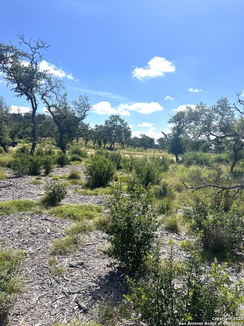 0 Citadel Center Point Kerrville, TX 78028 - Photo 5 of 33 a view of a big yard with green space