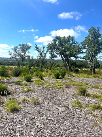 a view of yard with ocean view