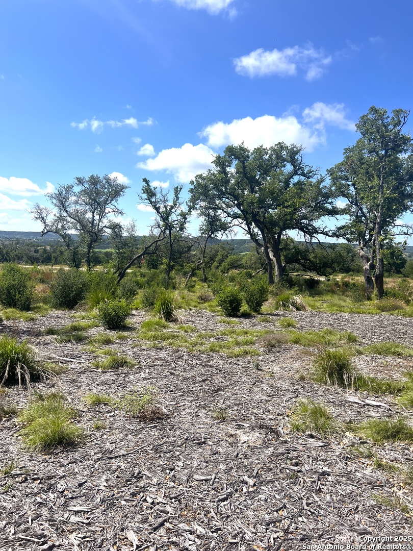 0 Citadel Center Point Kerrville, TX 78028 - Photo 8 of 33 a view of a yard with a tree