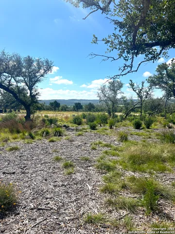 a view of a garden with an trees