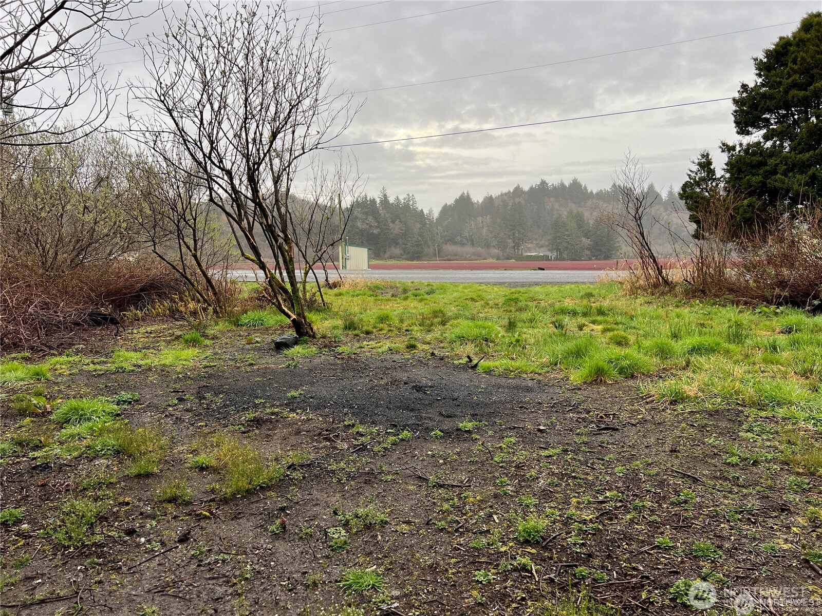 2361 Evergreen Park Road Grayland, WA 98547 - Photo 5 of 6