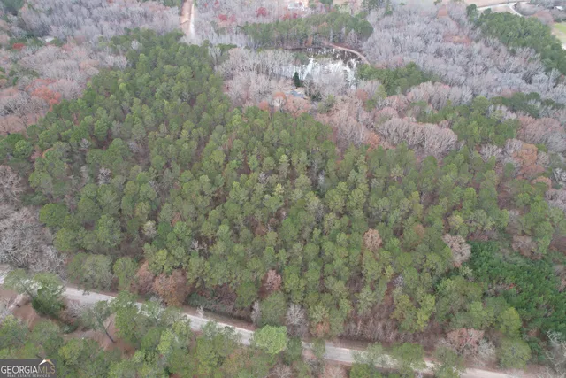 $149,000 | Tract 3 Grady Maddox Road, Zebulon, GA 30295