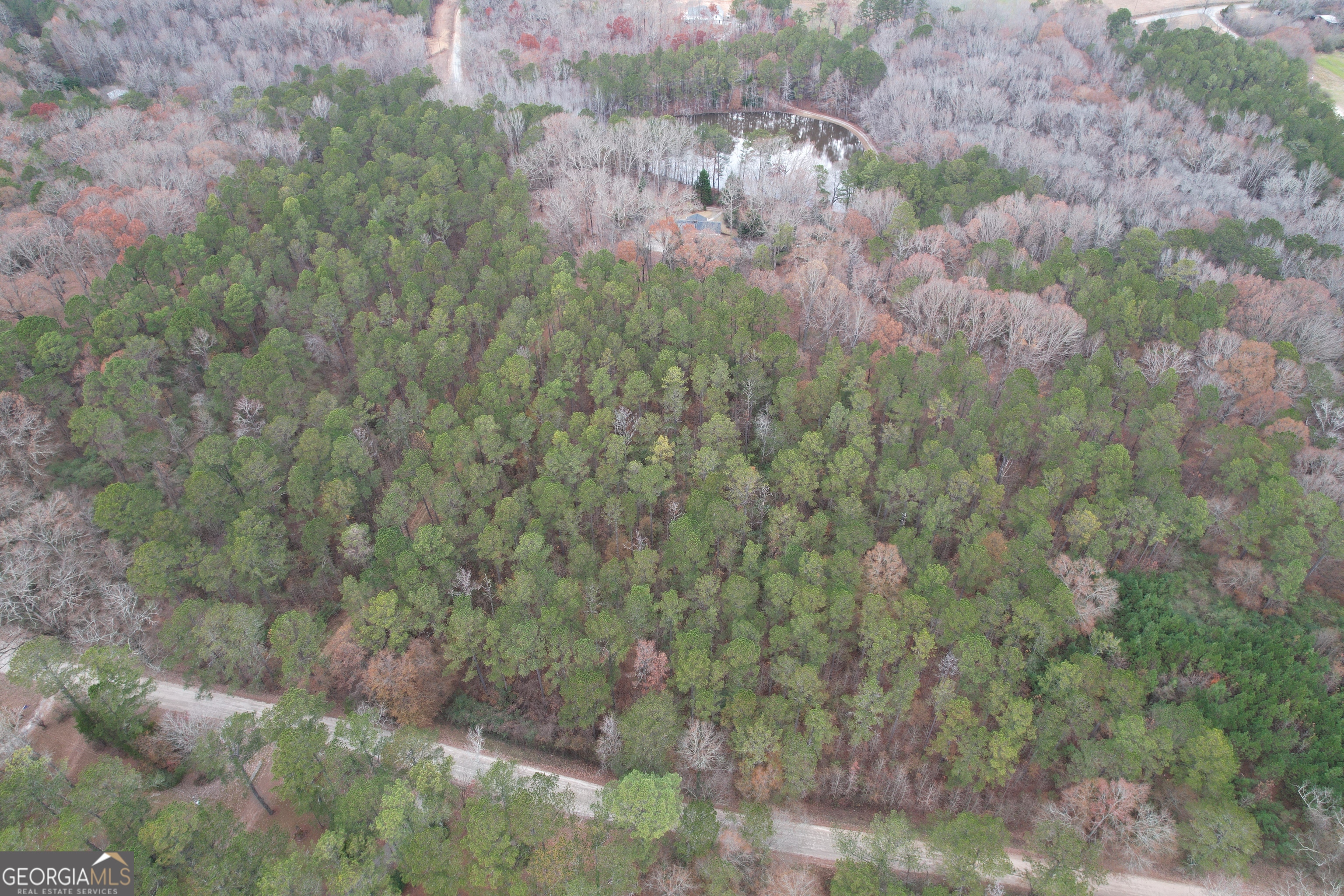 Tract 3 Grady Maddox Road Zebulon, GA 30295 - Photo 2 of 2 a view of a forest with a tree