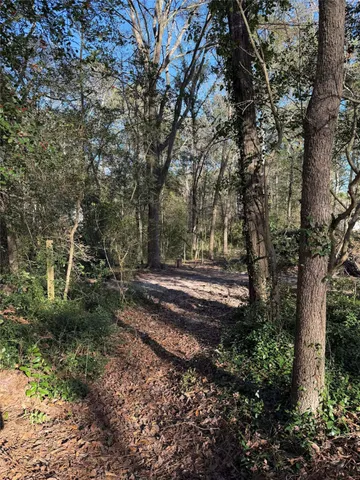 a view of a yard with large trees