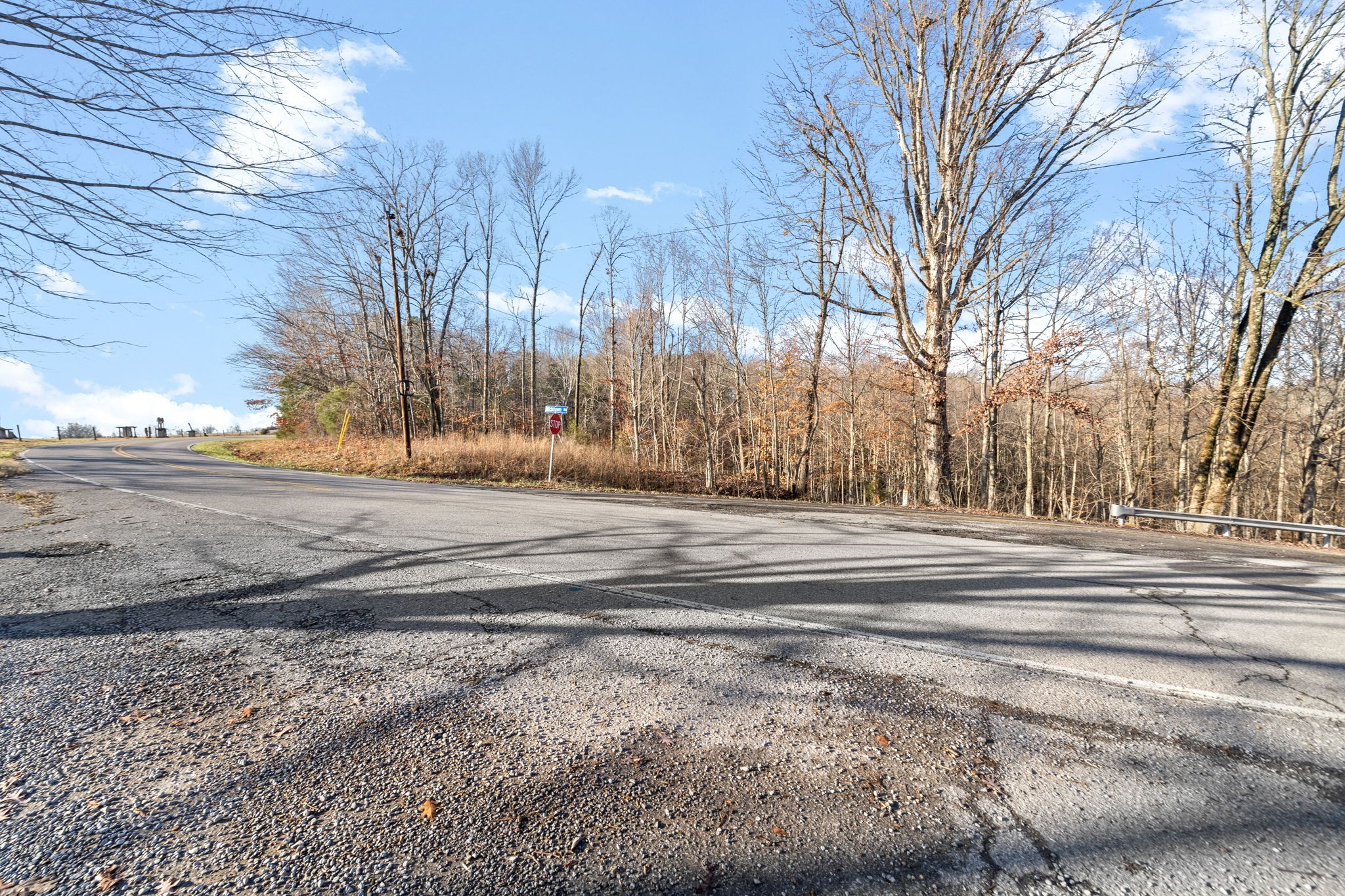 2 Buck Smith Hill Road Palmyra, TN 37142 - Photo 1 of 16 Gallery Image 1