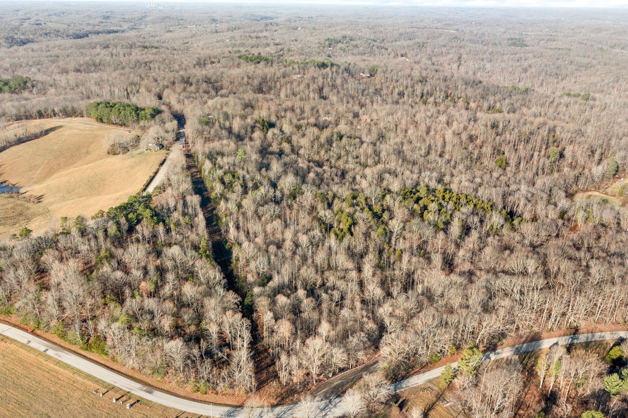 2 Buck Smith Hill Road Palmyra, TN 37142 - Photo 12 of 16 Gallery Image 12